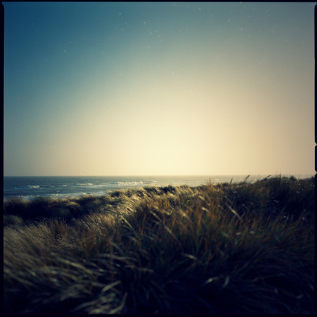 wind over dunes