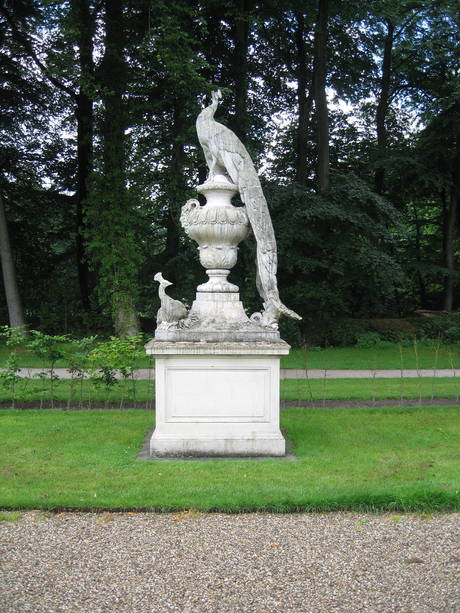 Witte pauwen