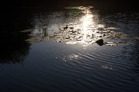 Licht in de duisternis