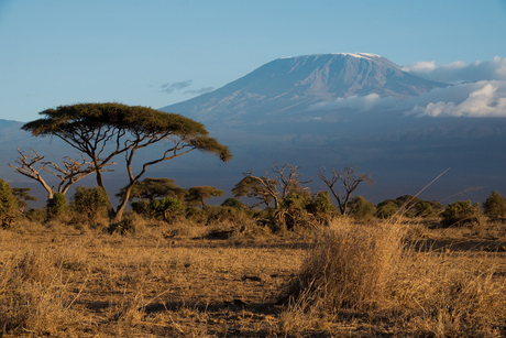 kilimanjaro landschap