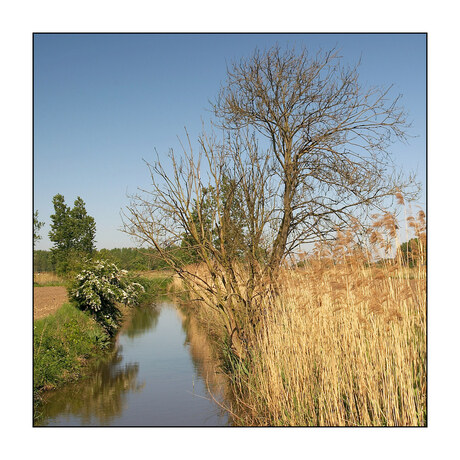 Het leek toen zomer maar was lente...