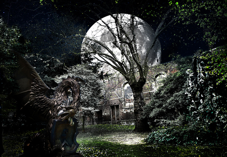 Antwerp city, hidden Church ruin