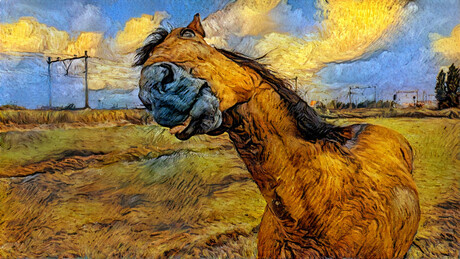 Paard met filter