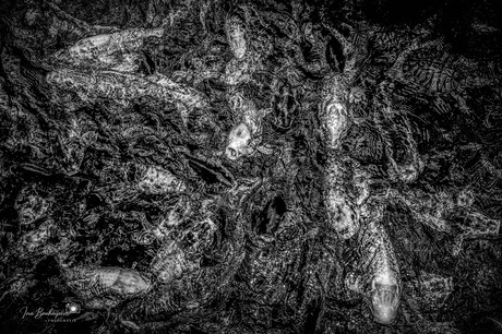 Echo’s van de Diepte