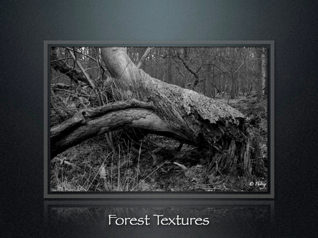 Forest Textures part3
