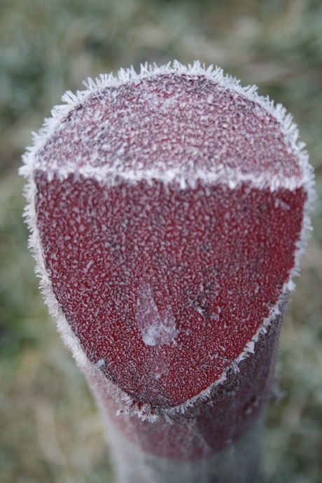 Bevroren paaltje