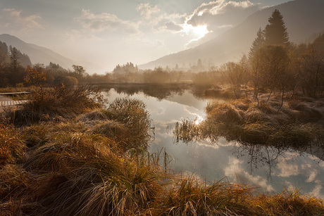 Zelenci nature reserve