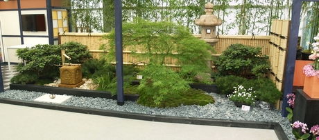 Japanse tuin.