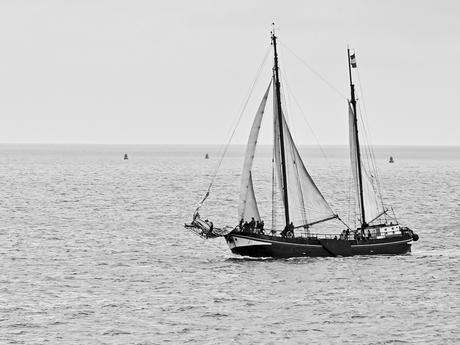 alle hens aan dek op de Waddenzee