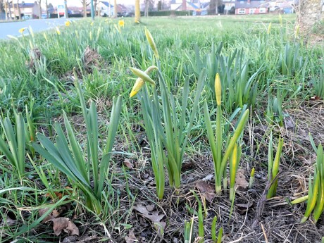 Natuur net buiten de stad