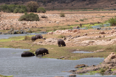 Kruger landschap Letaba rivier