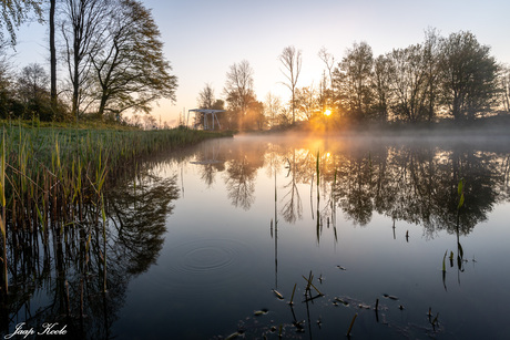 Bij de Rotte