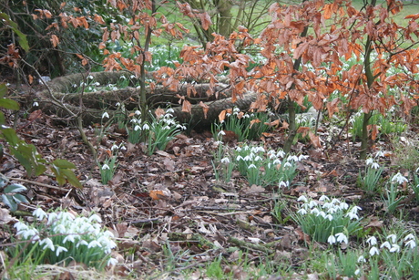 Overgang tussen winter en lente