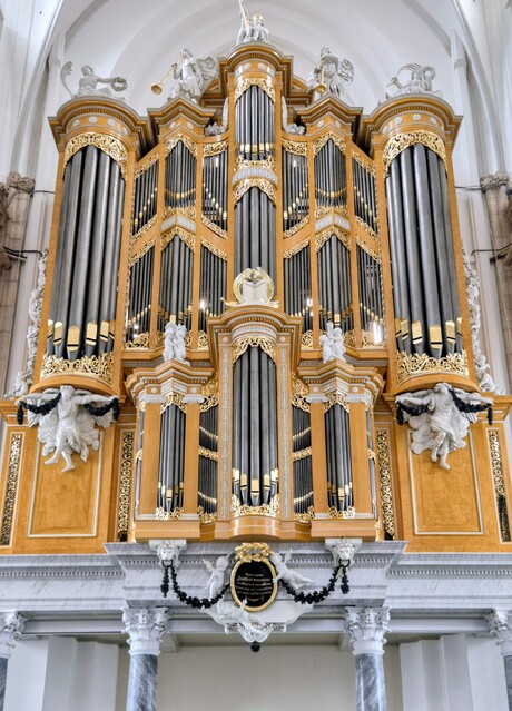 Orgel