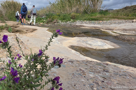 Vrijdag een mooie wandeling 