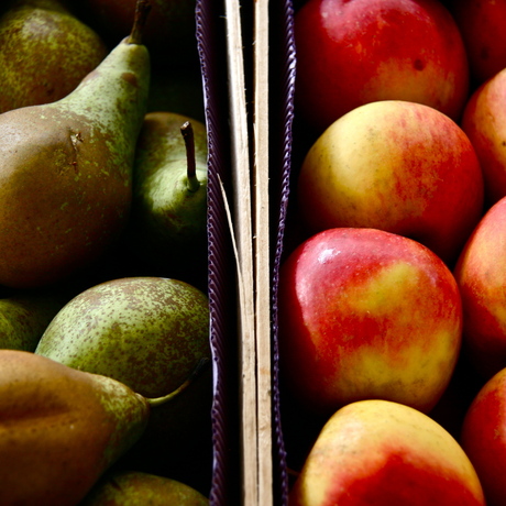 Appels met peren vergelijken