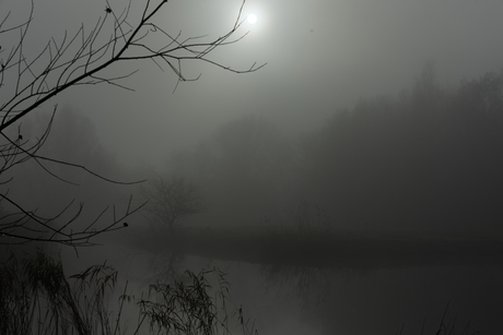 Broekpolder in de mist