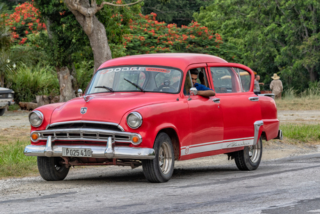 Cubaanse Dodge