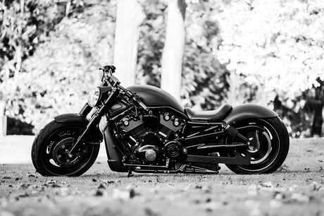 Harley Davidson