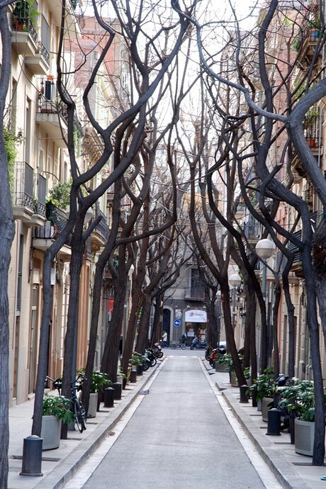Leuk straatje in Barcelona