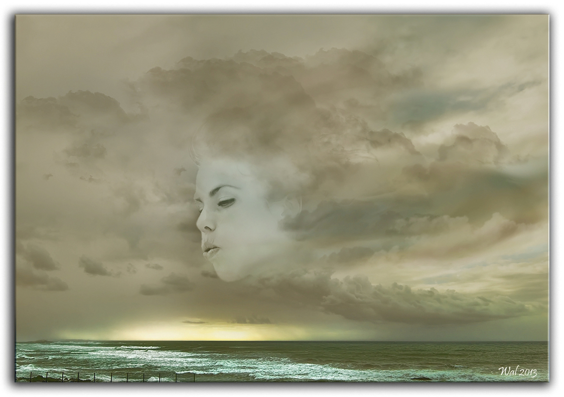 Blowing in the Wind - Een oude uit het archief. Deze is iets warmer getint dan de upload van een tijd geleden (een killere foto).
Ik kon toen geen keuze maken en toch vin - foto door Walk op 03-04-2015