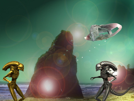 Bewerkingsopdracht week 15