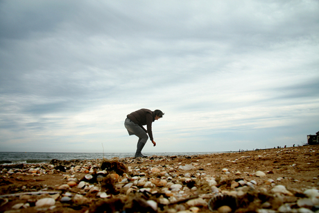 looking for shells