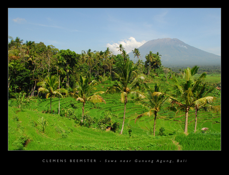Sawa near Gunung Agung, Bali