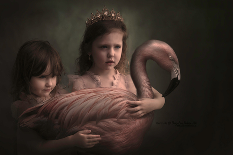 Flamingo sisters