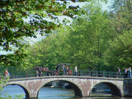 groen amsterdam