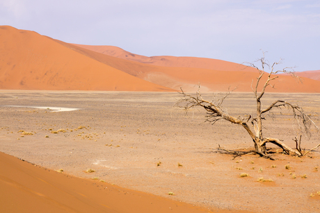 Sossusvlei Namibie