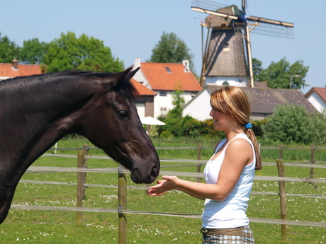 Liefde voor het paard.