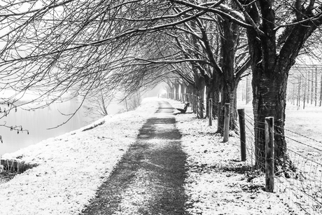 Een pad door de winter