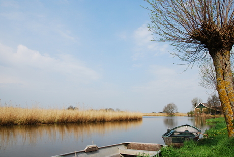 Hollands landschap