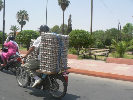 Eierboer in Marakech