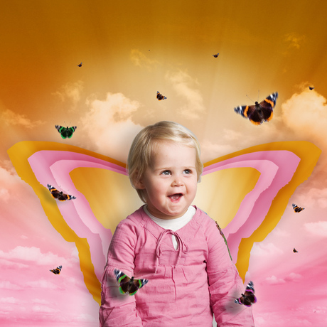 meisje met de vlinders