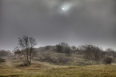 Duinen