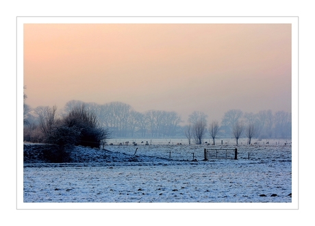 Winters landschap