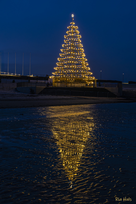 Bijzondere kerstboom