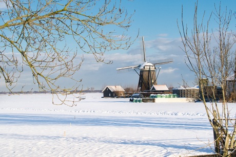 Winter in de polder!
