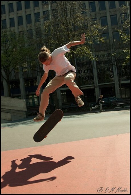 Skatepark Rotterdam