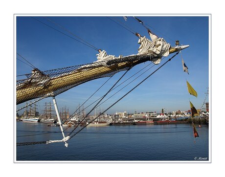 Delfsail 2009