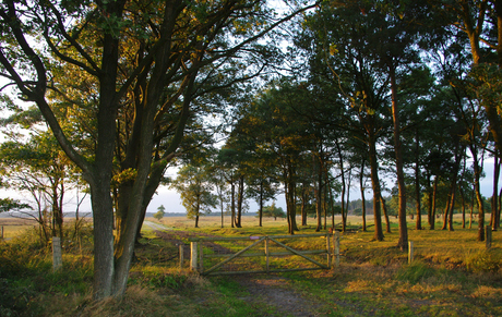 Mooi licht in Drenthe