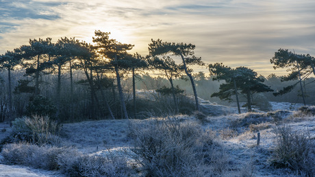 Eerste winterdag Noordwijk