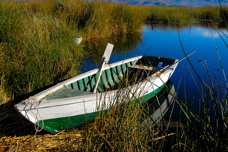 Bootje in het riet