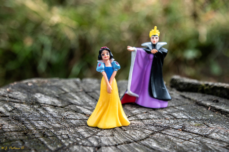 A fairytale.
