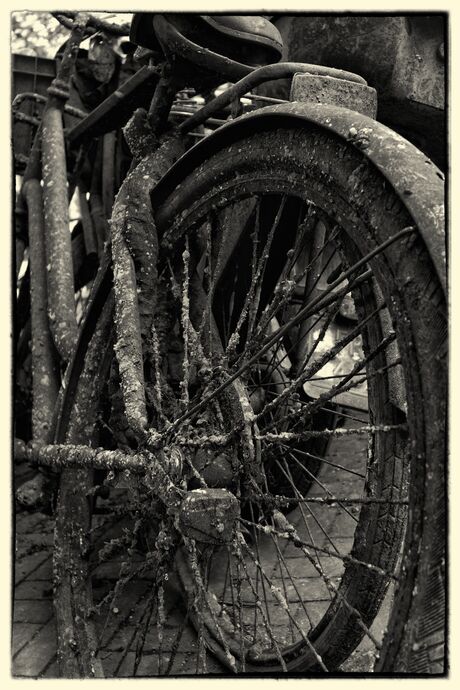 Fiets uit de gracht