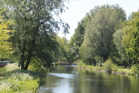 mooi parkzicht tijdens een wandeling