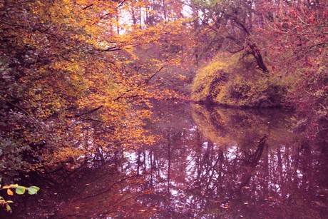 amsterdamse bos