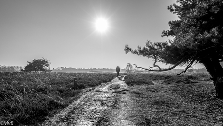 Pieterpad wandelaar op het Ballooerveld (Drenthe)